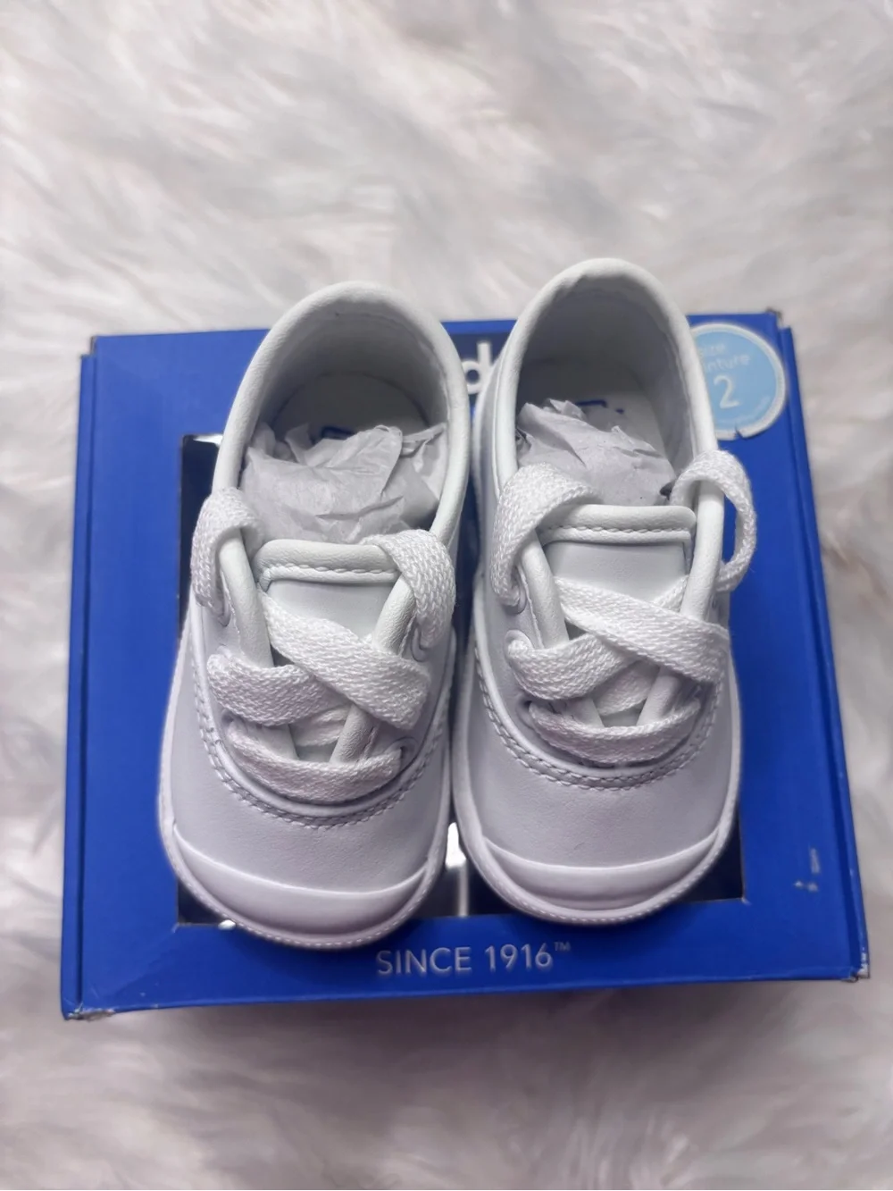 Keds Blue and White Shoe Box - Champ Lace TC Label Infant 2c